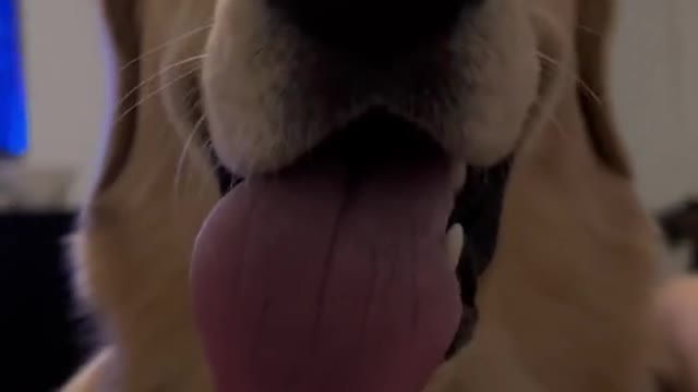 IT’S !!!!