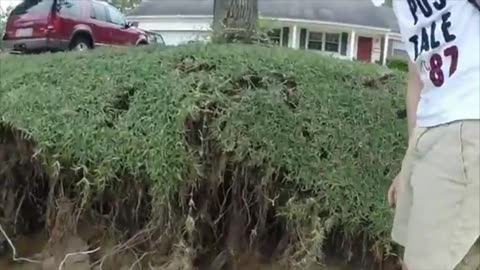 World Is Strange pt.15