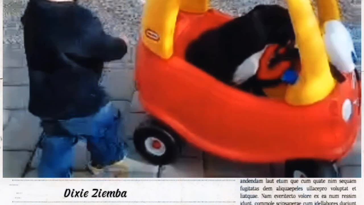 Throwback Cuties: Watch Zeke and Pepper's adorable push car escapade!