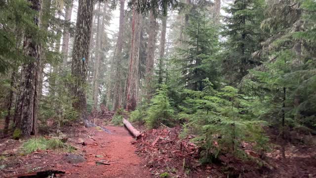 The More Inclement Weather the Better – Mount Hood National Forest – Oregon – 4K