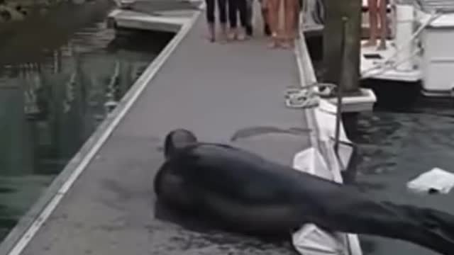 He came to say hi 👋😍