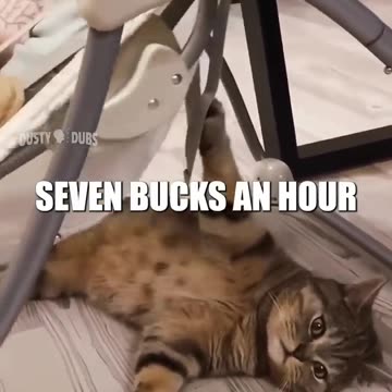 Mashup 106 EXTENDED EDITION