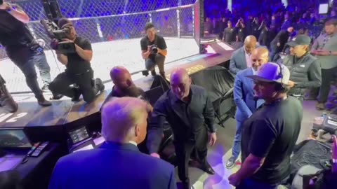 president trump shakes hands with joe rogan at ufc 290