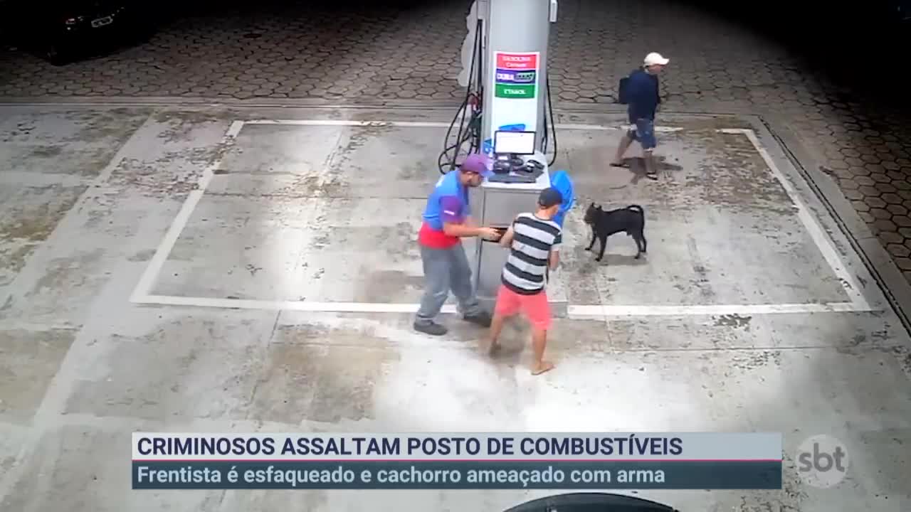 Cachorro é ameaçado com arma e frentista é esfaqueado durante assalto | Primeiro Impacto (04/11/22)