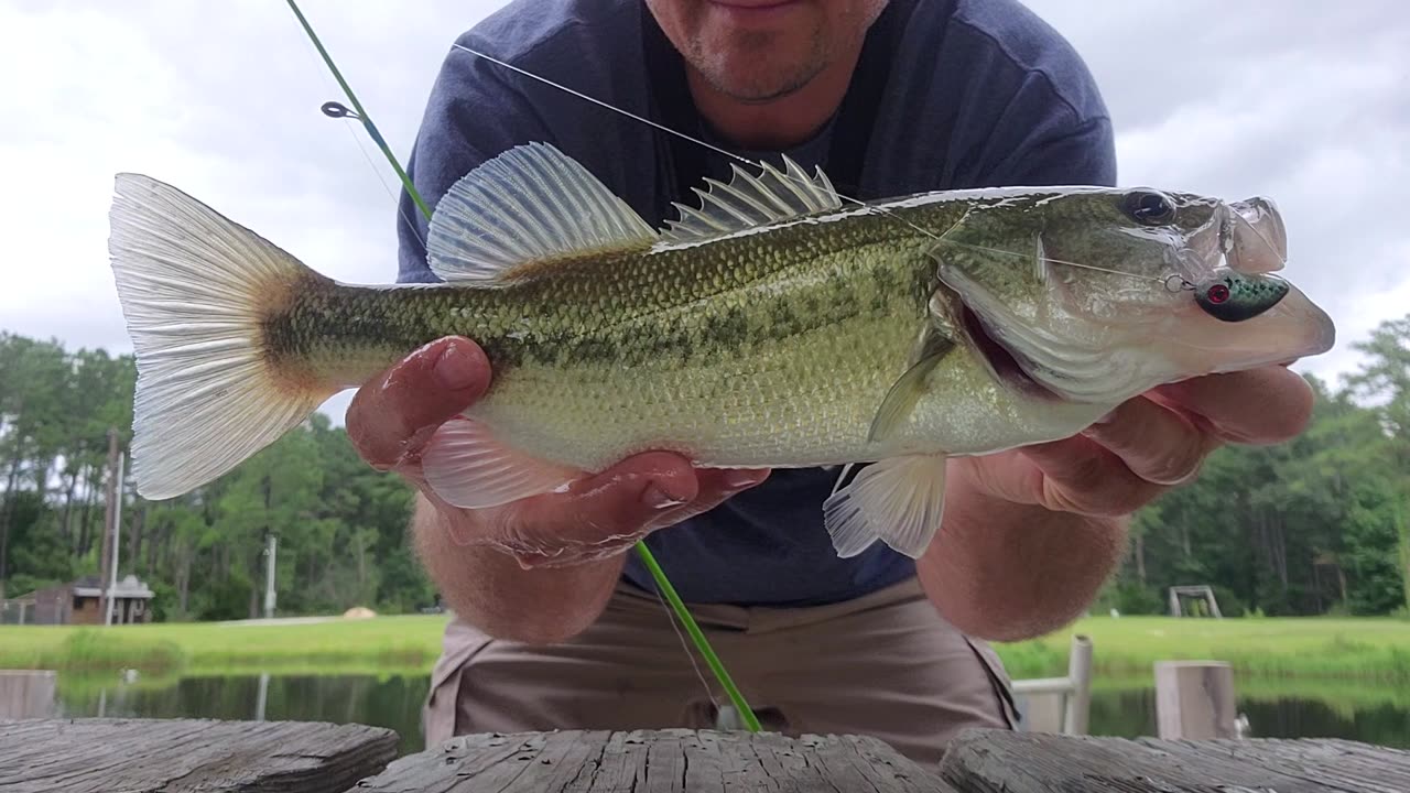 Smallest Crank Bait in the World! Fish LOVE it!