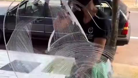 Expert Window Washer