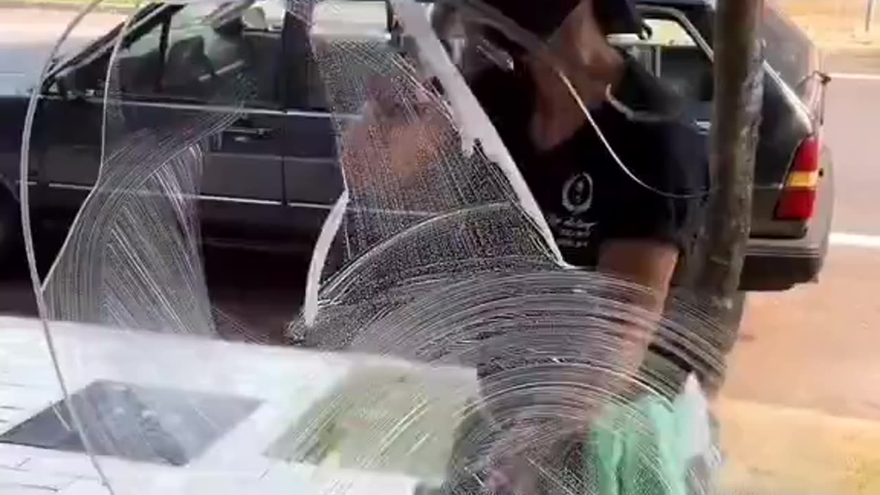 Expert Window Washer