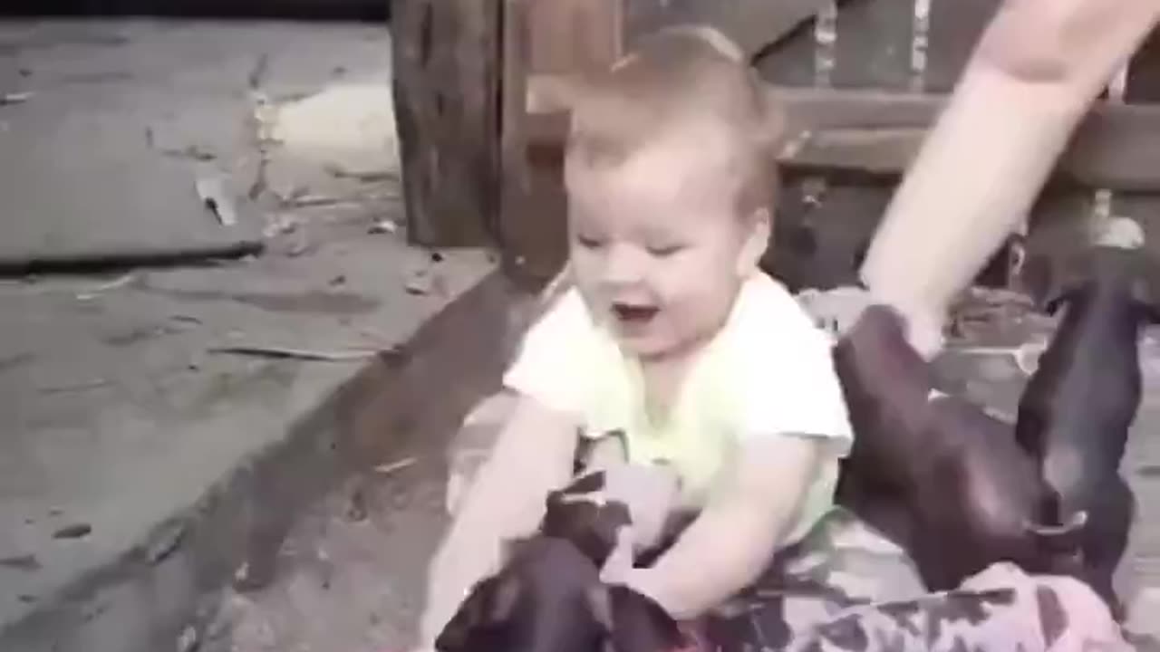 Cute little pigs hug cute baby.
