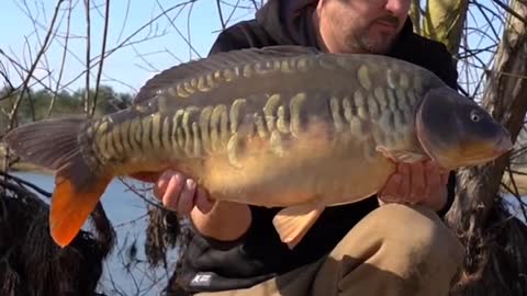 Chris Catching a Scaly Mirror 🤩