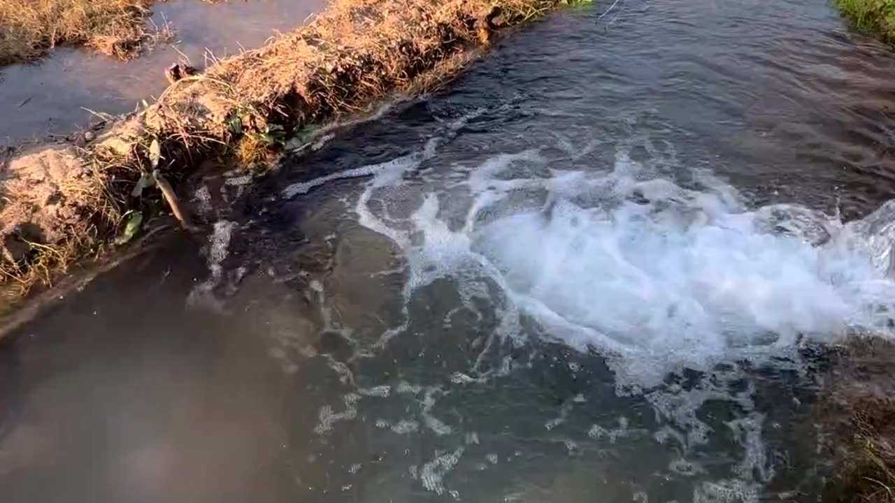 Introducing my village Life