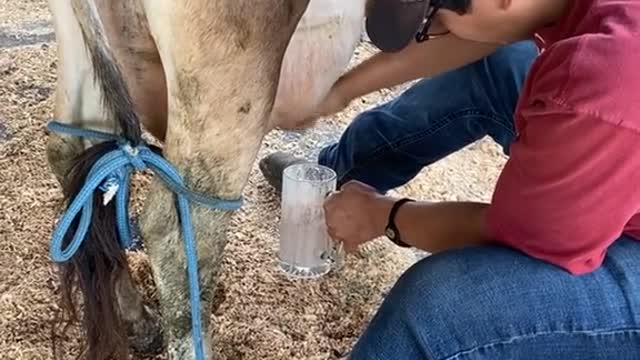 Como en el campo 🥰