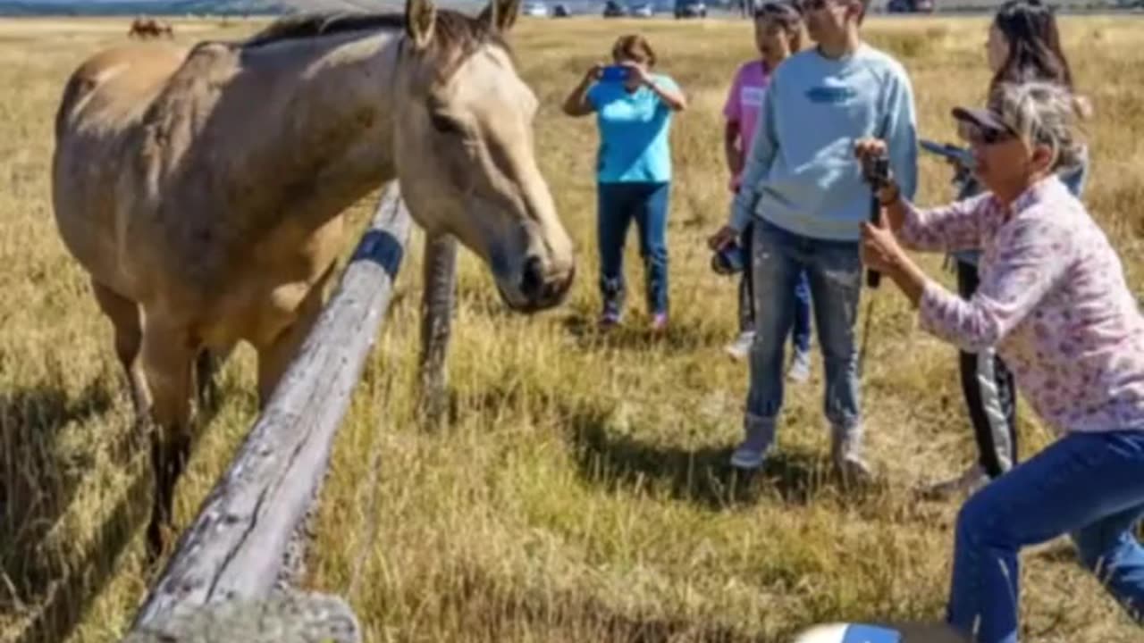 Different types of ranches