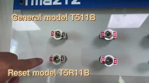 Toggle Switches