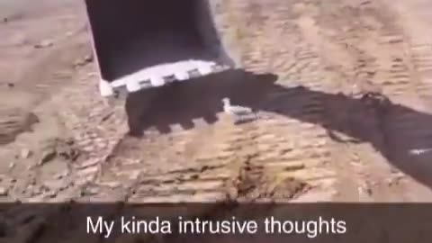 Intrusive Thoughts Win