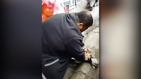 30 Animals That Asked People For Help & Kindness !