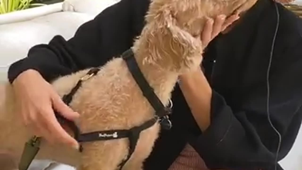 카지노커뮤니티