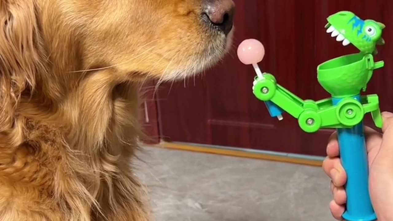 Funny clip ðŸ¤ðŸ¤ðŸ˜‚