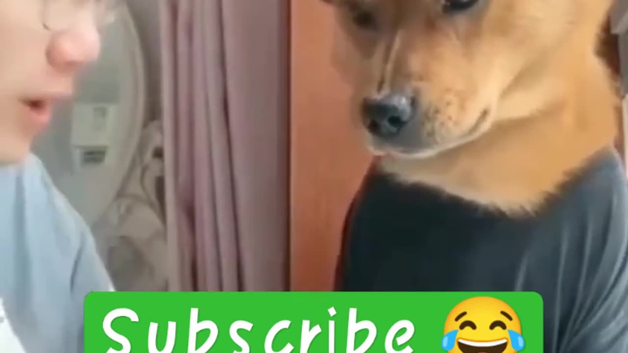 #dog#cutedog#dogfunnyvideo#petvideo#rumble#shorts#trending#gym#hot#rumblevideo