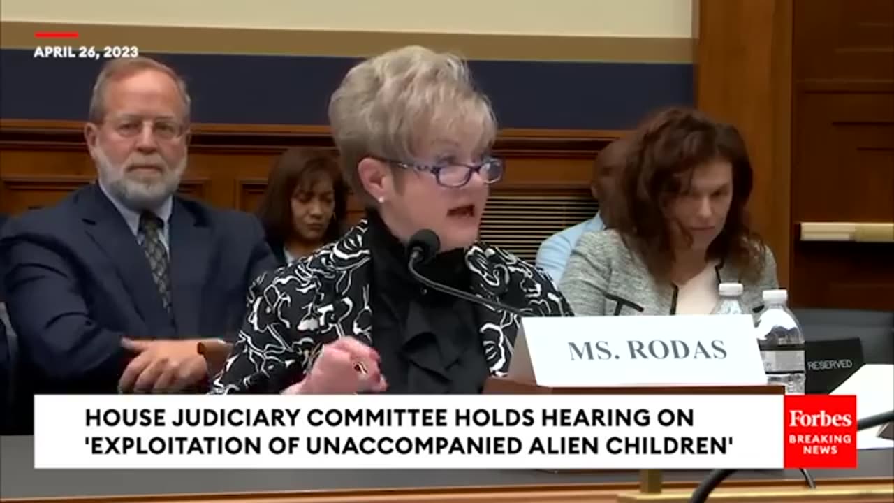 GOP Lawmaker - Basically we are trafficking children