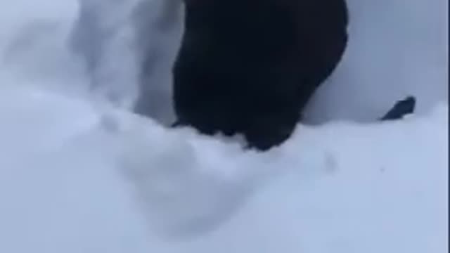 Hahaha,U cant see me..!!