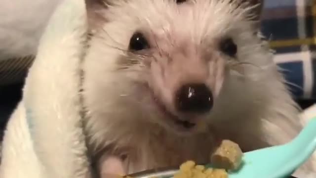 ITS SO DELICIOUS