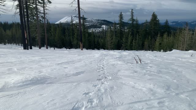 Descending Steep Mountainside – Central Oregon – Potato Hill Sno-Park – 4K