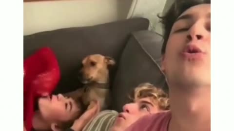 He has wait politely for his turn?