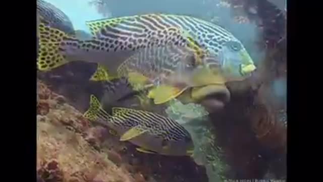 Time with God - August 21