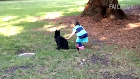 ULTIMATE|| Animal Compilation || Funny Fails || viral || comedy