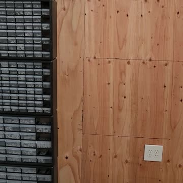 Shop Update 08-21-2023 Shorts