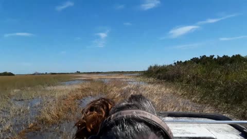 Air Boat Adventure