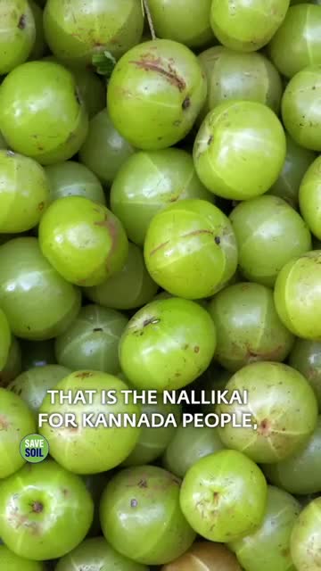 A Simple Recipe to Strengthen Your Immune System | Sadhguru #shorts