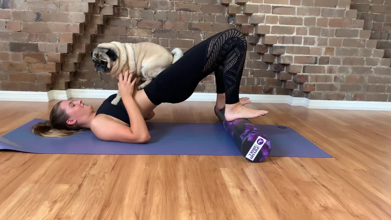 Pug helps owner with her yoga