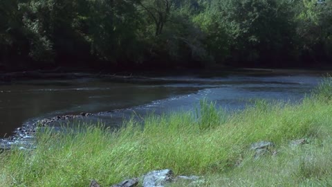 How Native Americans Used Fish Traps To Hunt