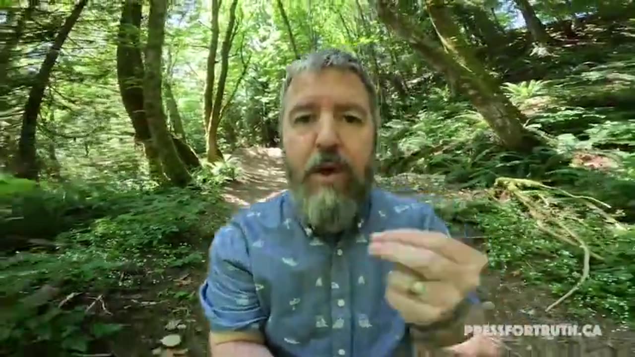 Julian Assange Psyop and HIs recent plea deal