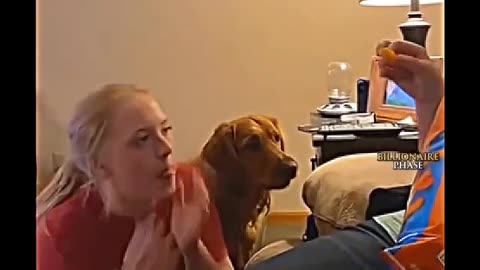 Tag someone who needs to see this! 🐕🐾" The funniest pet fail you'll see today 🐾💖