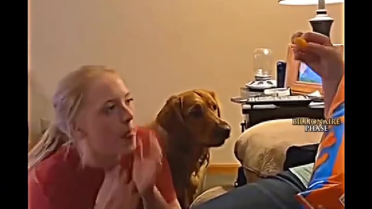 Tag someone who needs to see this! 🐕🐾" The funniest pet fail you'll see today 🐾💖