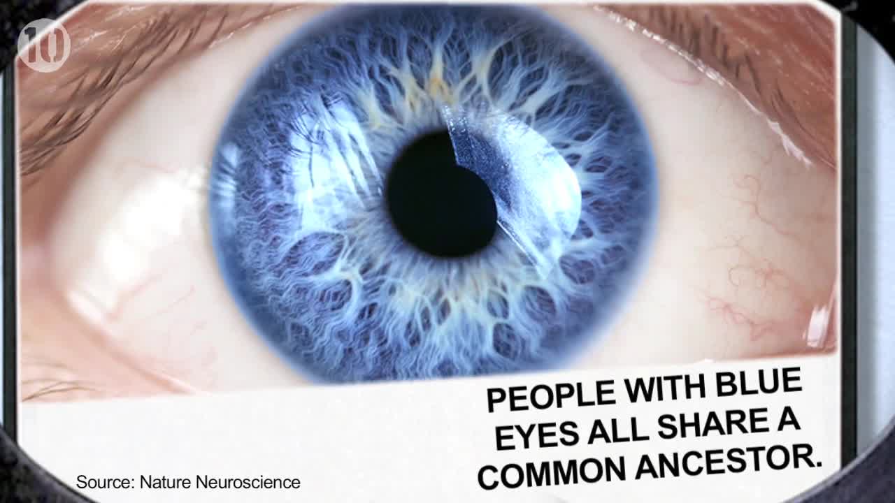 10 Things You Didn't Know About Your Eyes