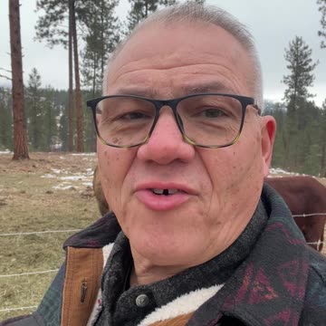 Good Morning from McKenzie Mountain 12-4-24