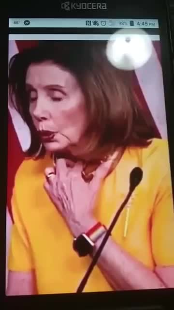 Nancy Pelosi Wasted