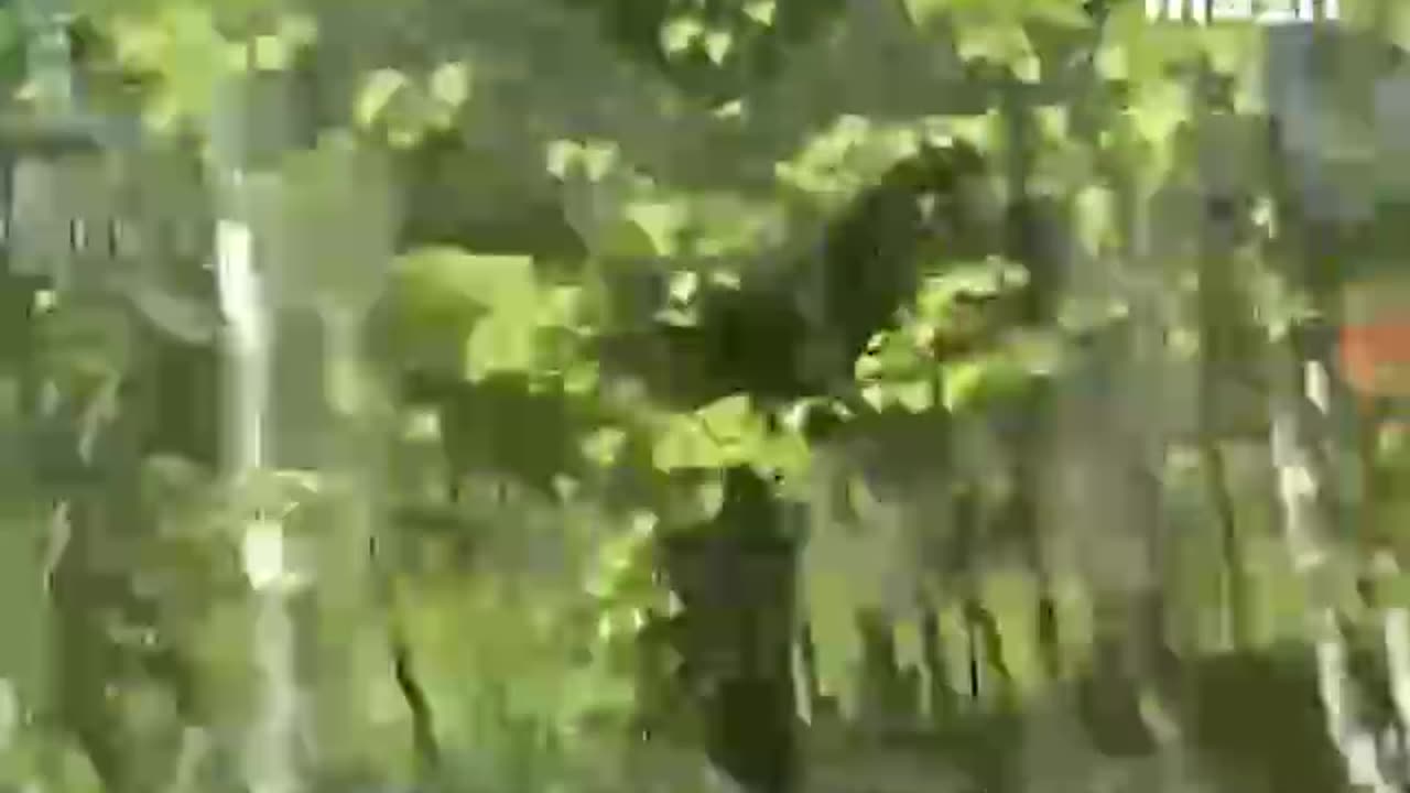 Minus Ruzzian Sukhoi-34 over Bryansk region. Maybe we are practicing with Patriot)