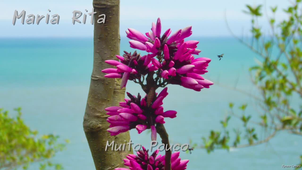 Maria Rita - Segundo - Album Completo