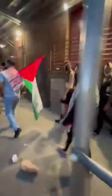 Pro-Palestine protesters disrupt 4th of July celebrations in NYC and chant “d*ath to America”