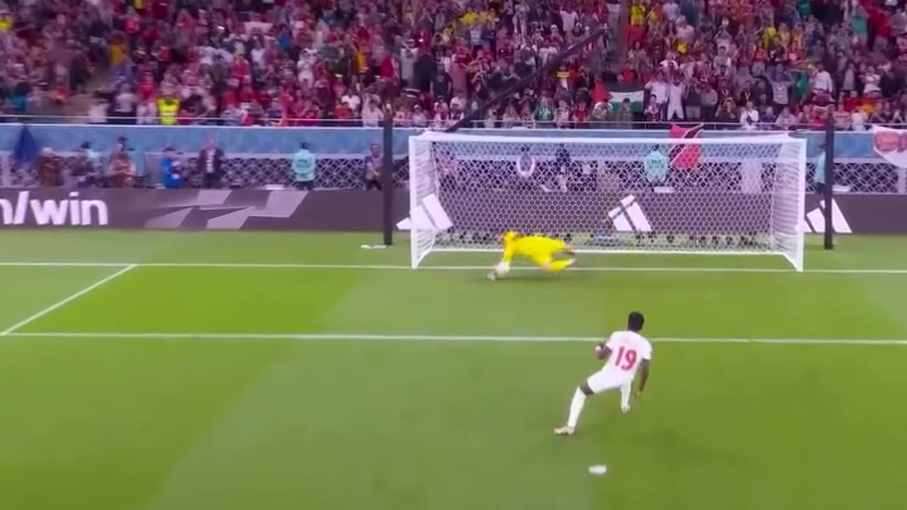 Fifa world cup highlight