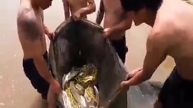 Very Funny but Expensive Fishing Method