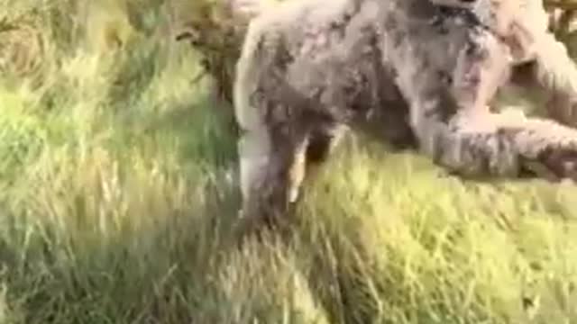 How I feel when the work day is done.