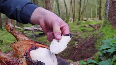 Juicy Roasted Chicken Recipe for a Perfect Sunday Roast in Nature | 4K Video Recipe