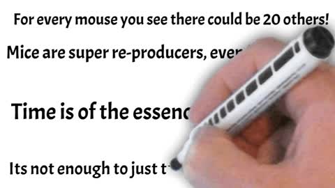 Why mouse Traps dont work😃 Short Summary Video 😃 #shorts