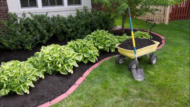 Major Lawn Service - (409) 230-3306