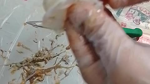 How to clean sea food must watch